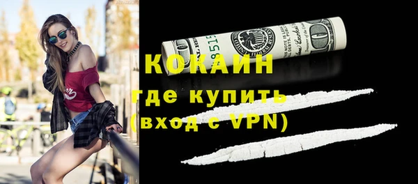 ECSTASY Бородино