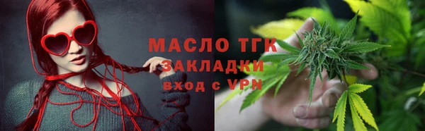 ECSTASY Бородино