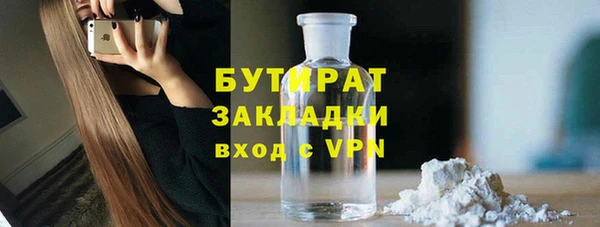 шишки Верея