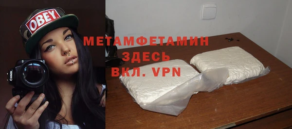 шишки Верея