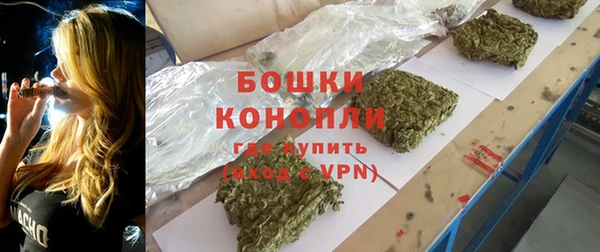 ешки Бронницы