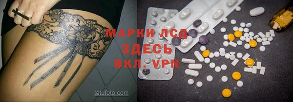 ECSTASY Бородино