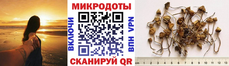 Галлюциногенные грибы MAGIC MUSHROOMS  Киржач 